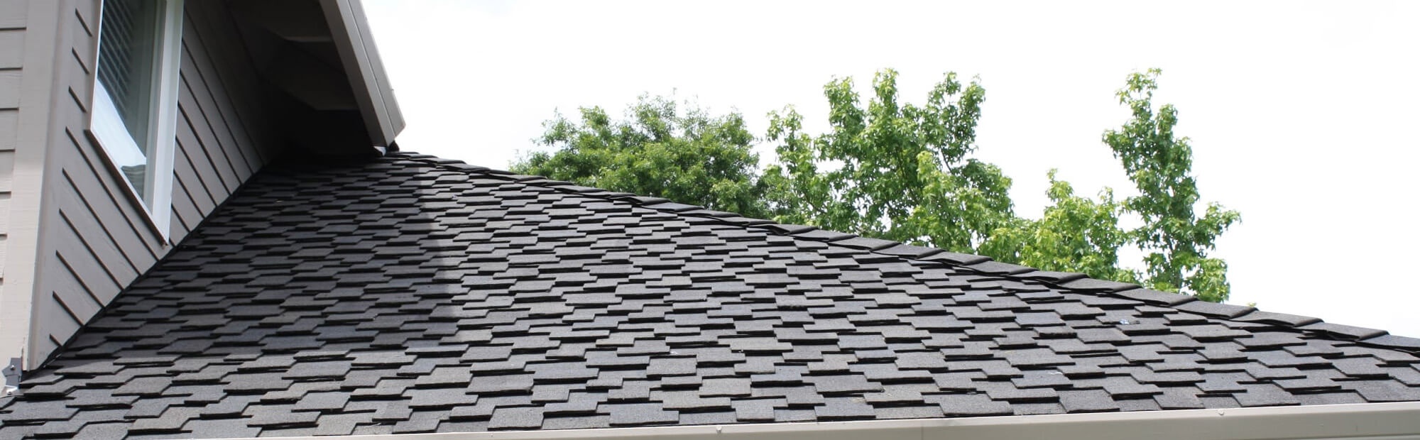 aloha or roofing trends