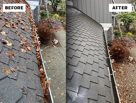 Before and after professional gutter cleaning 