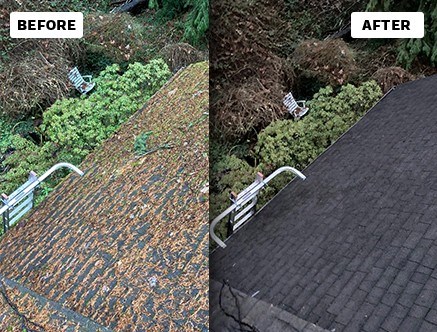 Before and after roof cleaning service in Portland, OR