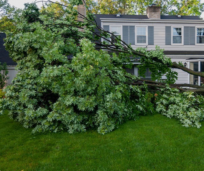 roof repair for debris damage in portland and vancouver