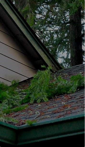 Debris on residential roof after storm