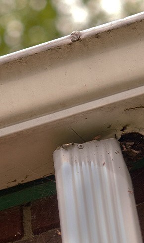 checking the gutter system during a roof inspection in Vancouver-Portland Area